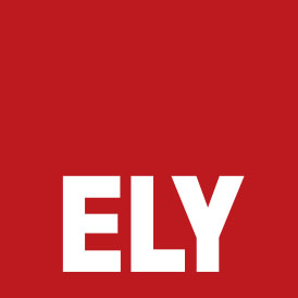 Ely and Associates