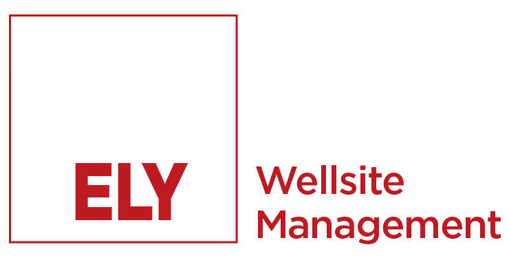 Wellsite Management